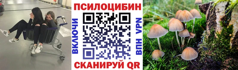 как найти наркотики  Саки  ОМГ ОМГ ONION  Псилоцибиновые грибы Psilocybe 