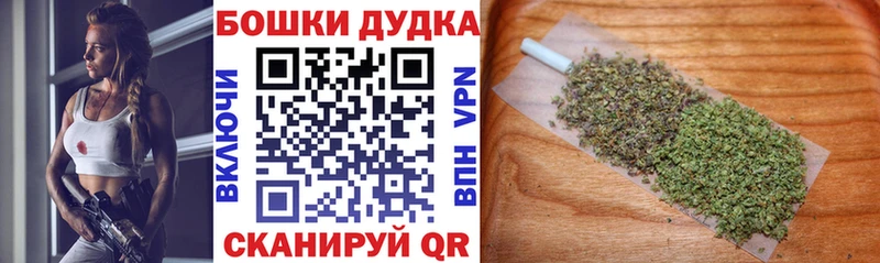Бошки Шишки семена Саки
